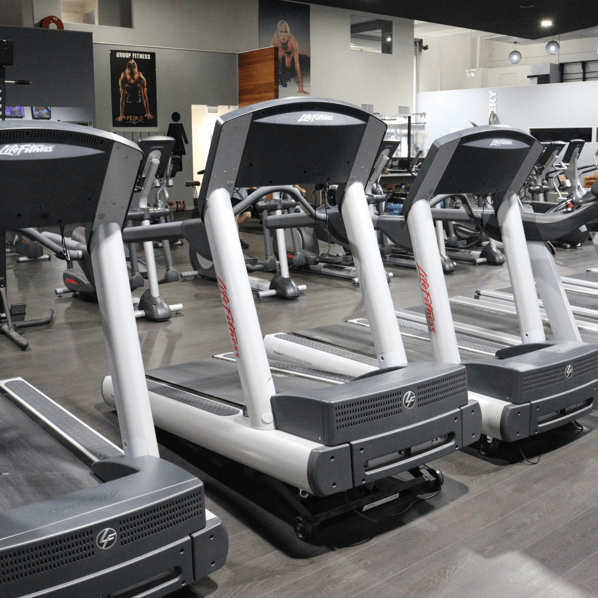 Gym Equipment Risk Assessment cover image showing commercial treadmills lined up in a gym cardio area.