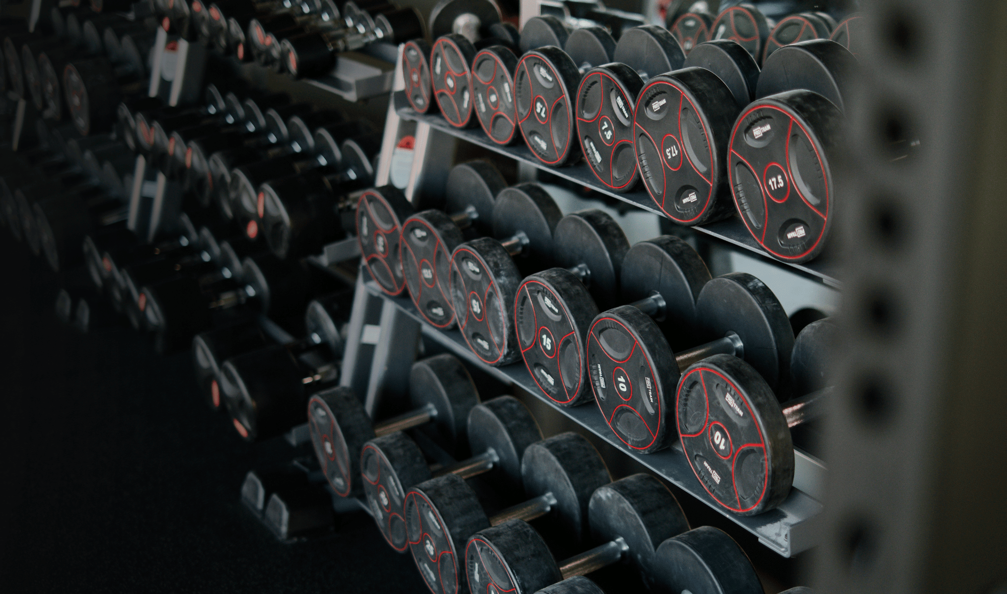 Row of dumbbells on a rack in a gym setting